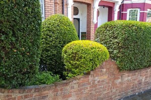 Gardening Services in Bristol